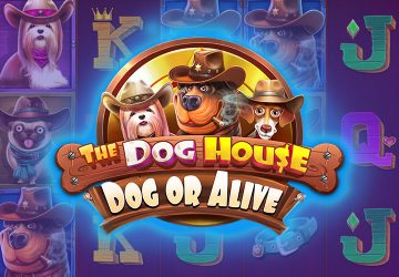 Microgaming - игровой автомат онлайн от Various с RTP 96.54%